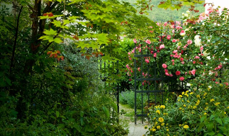 Marinka: giardino di contrabbando
