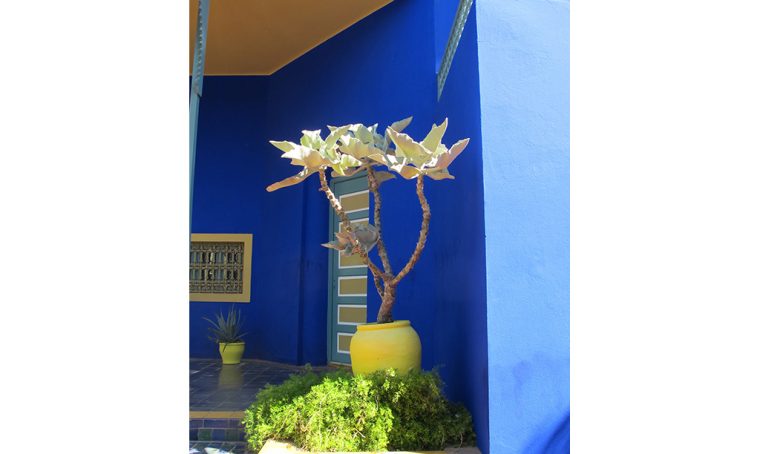 Viaggi green: magico blu di Majorelle