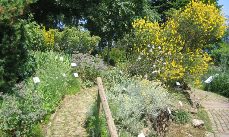 Arriva l’estate: tutti all’orto botanico!