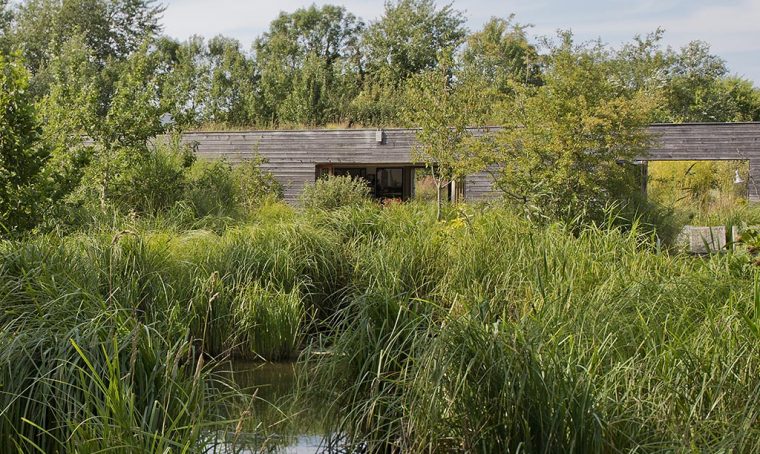 La casa ecologica: quello che dovete sapere sulla fitodepurazione