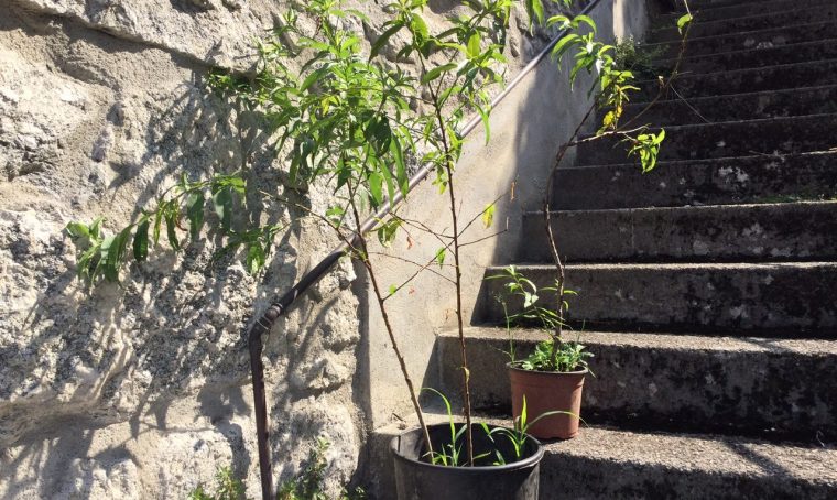 Quei gesti gentili…
 