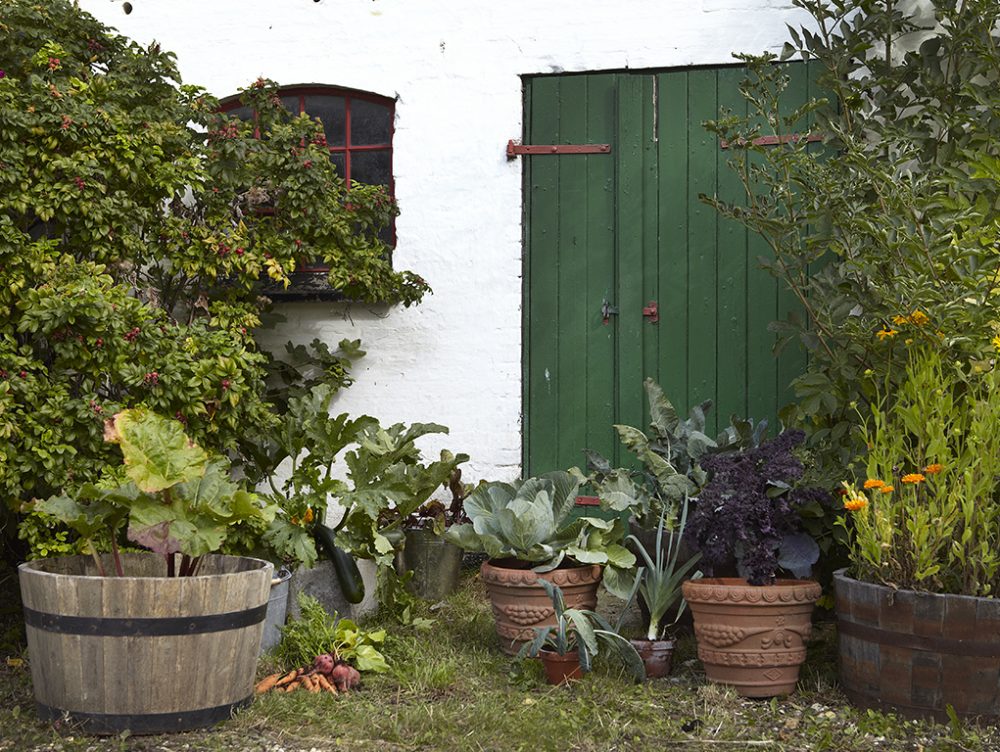 Come coltivare l'orto in balcone
