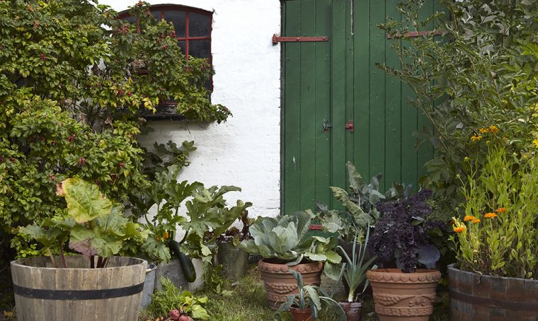 Come coltivare l'orto in balcone
