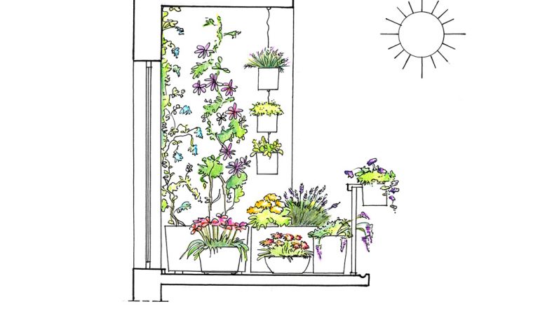 22 piante per riparare un terrazzo in pieno sole