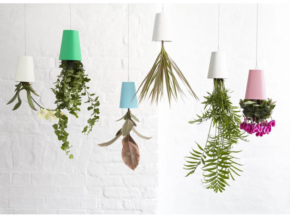 Come realizzare un 'floating garden' con piante da appendere