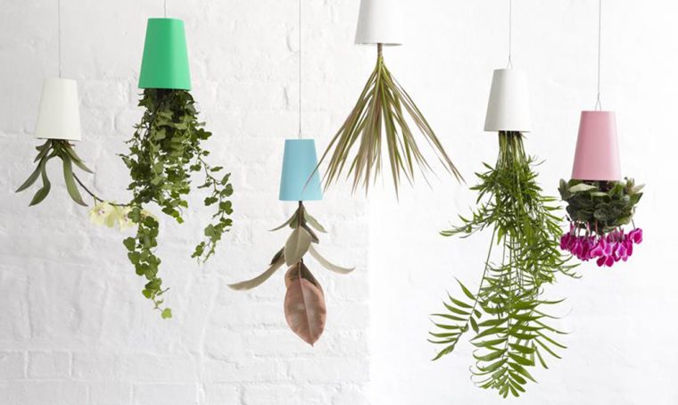 Come realizzare un 'floating garden' con piante da appendere