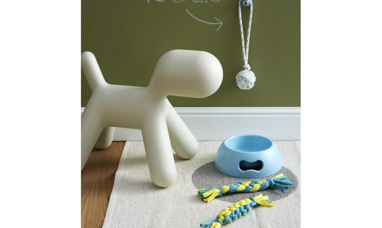 Fai da te: 2 giochi per il tuo cane