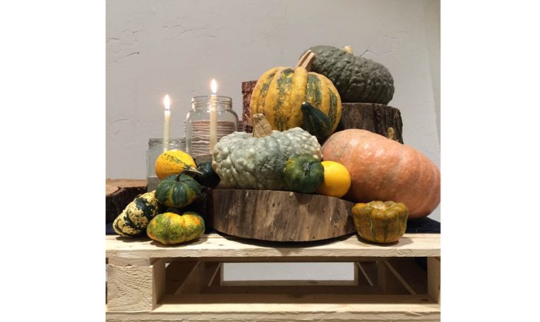 Décor d'autunno con le zucche ornamentali