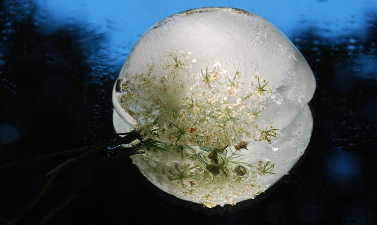 I vincitori del concorso Jacuzzi: fotografa la forma dell'acqua