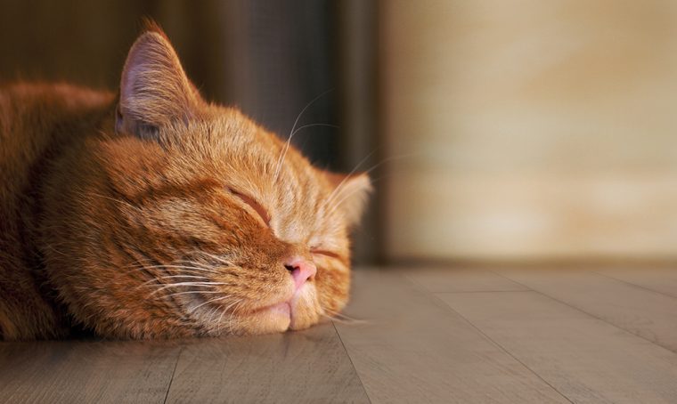 Come pulire il parquet e mantenerlo bello