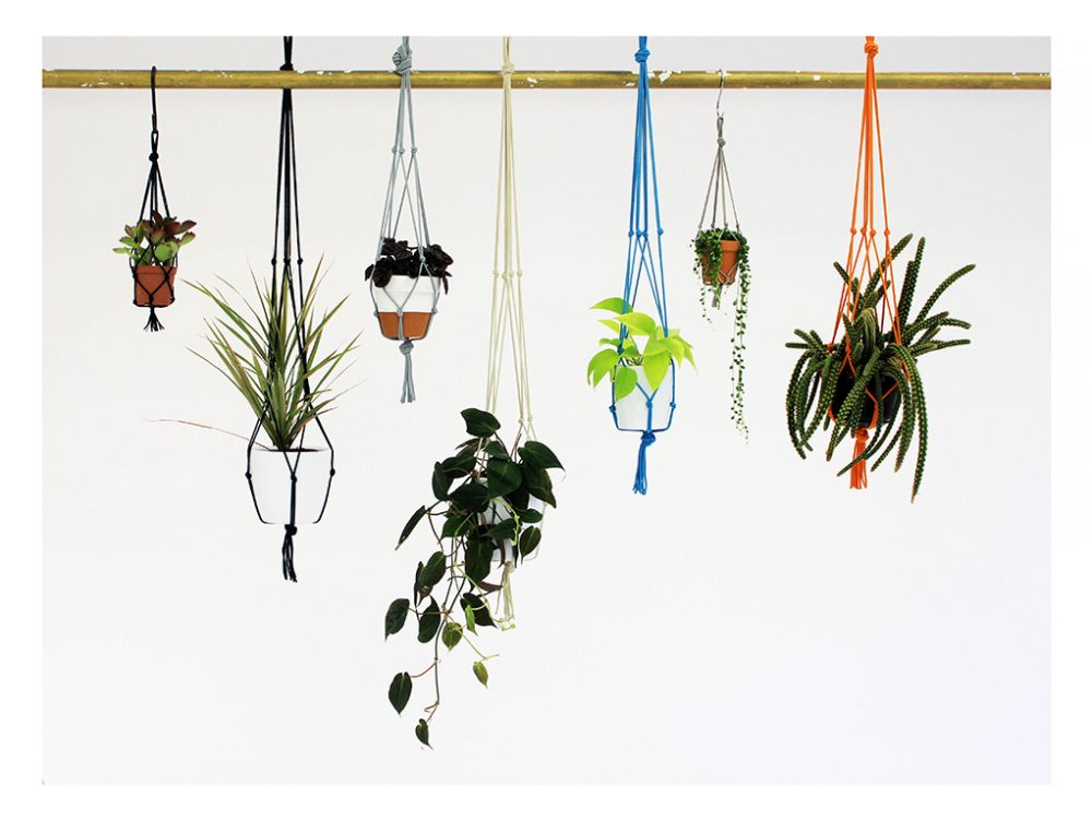 Decori botanici per la tua casa