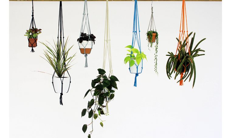 Decori botanici per la tua casa
