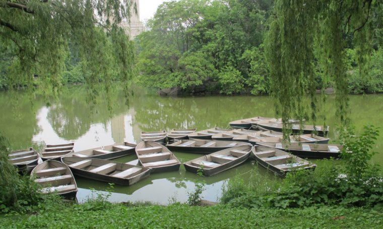 Guida ai parchi e ai giardini di New York