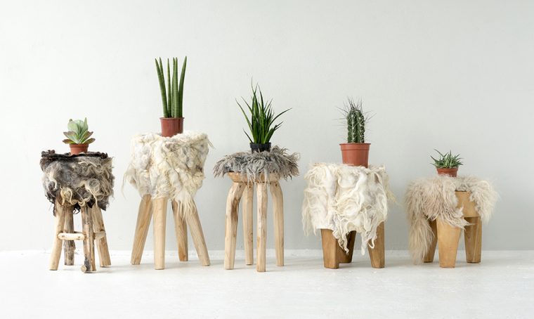 Tendenza Wild: la natura selvaggia entra in casa