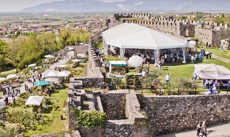 Fiori nella Rocca: piante rare e fiori di carta