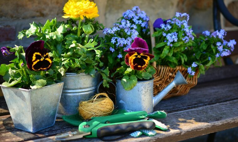giardinaggio lavori di primavera