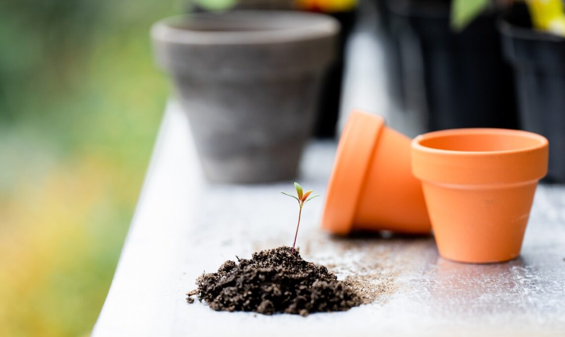 giardinaggio lavori di primavera