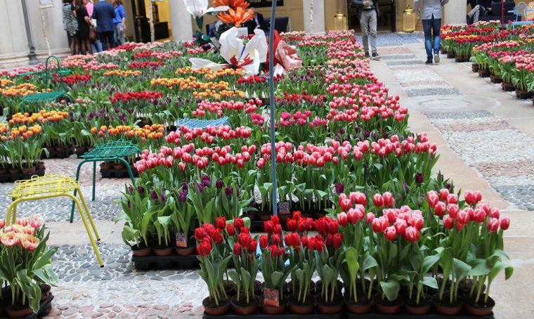 Design olandese a Milano