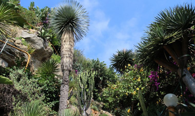 Il Giardino esotico Pallanca di Bordighera