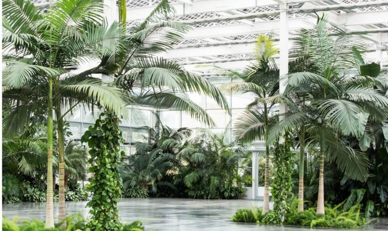 Radice Pura: il primo festival dedicato al garden design del Mediterraneo