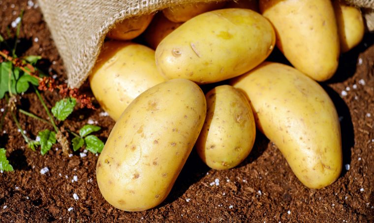 10 usi alternativi delle patate