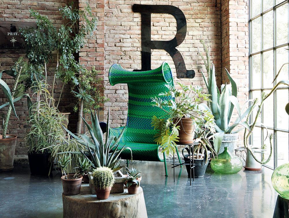 Porta lo stile Jungle in casa