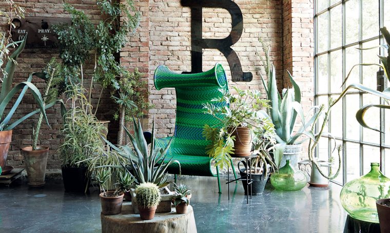Porta lo stile Jungle in casa