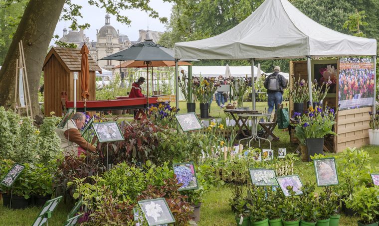 Piante in mostra: apre il Journées des plantes de Chantilly