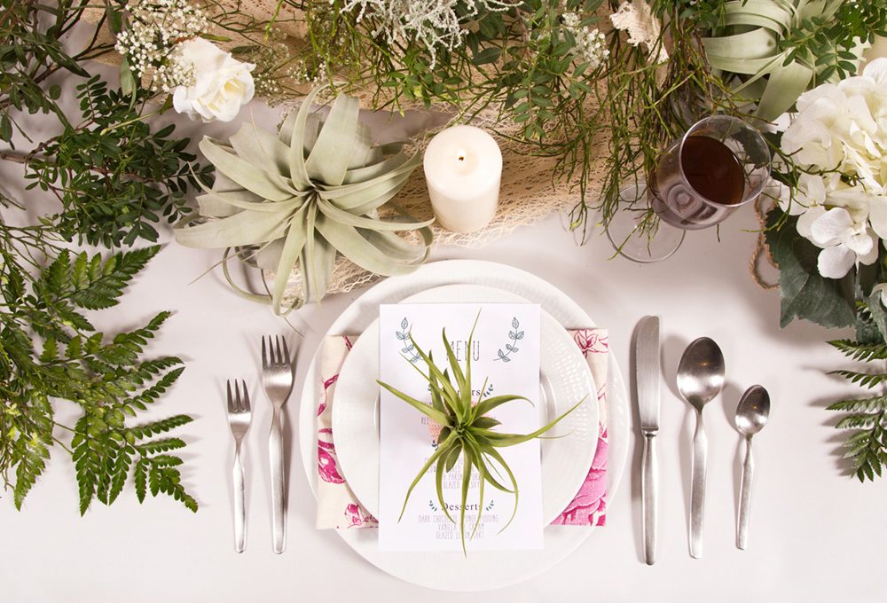 5 siti dove comprare fiori e piante online
