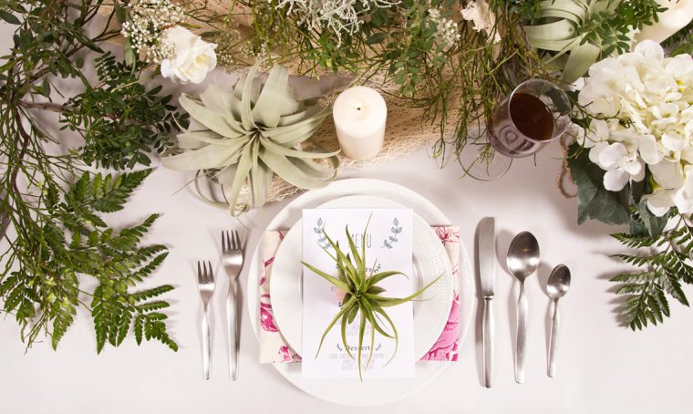 5 siti dove comprare fiori e piante online