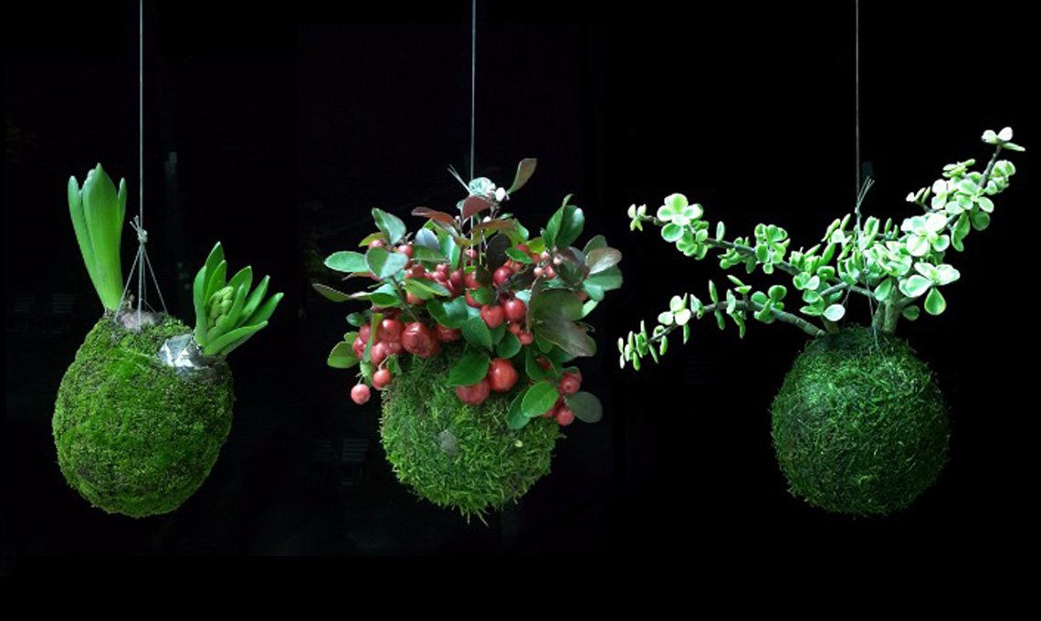 Un negozio online specializzato in kokedama / kokimilano.com