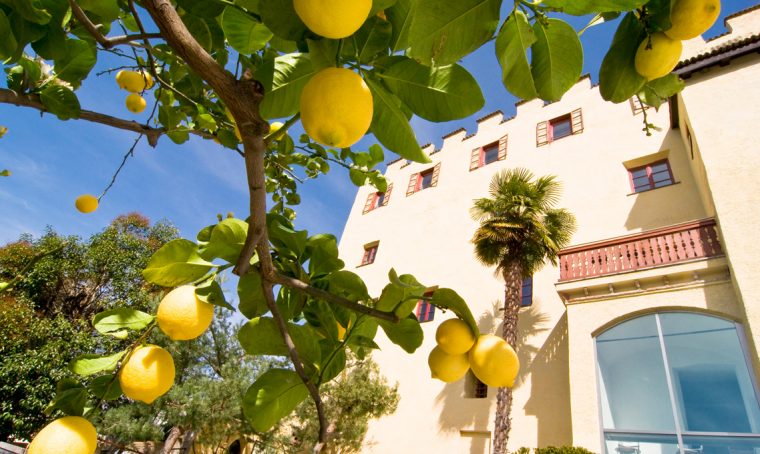Idee per il weekend: i Giardini di Castel Trauttmansdorff