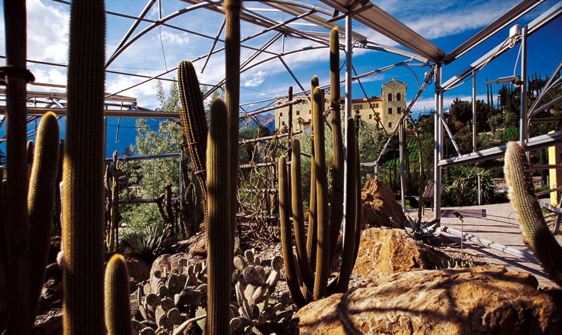 Cactus e succulente - Giardini di Castel Trauttmansdorff