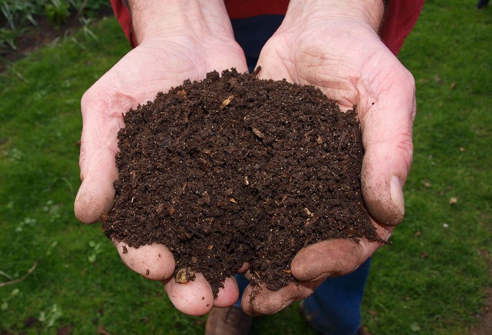 Come riconoscere le caratteristiche del tuo terreno