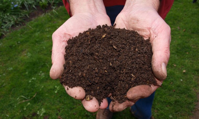 Come riconoscere le caratteristiche del tuo terreno