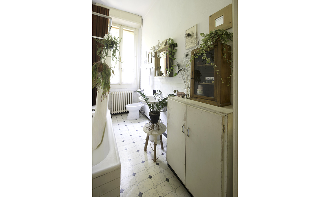 piante in bagno
