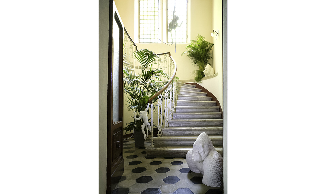 scala ingresso piante