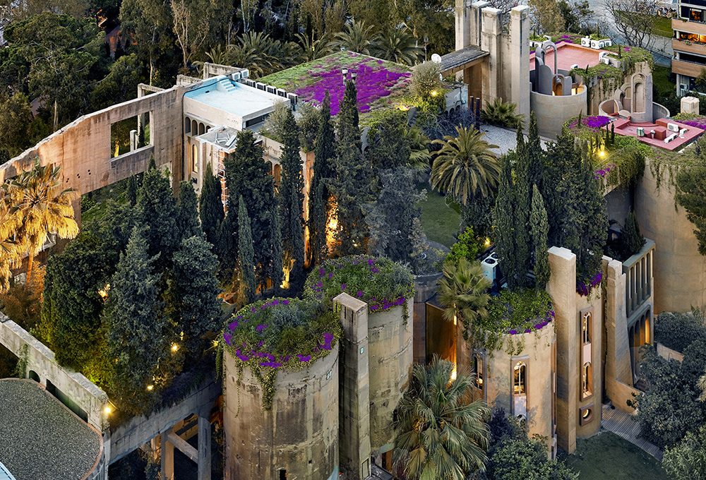 Come fare un giardino sul tetto