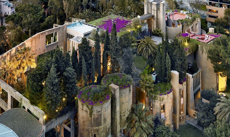 Come fare un giardino sul tetto