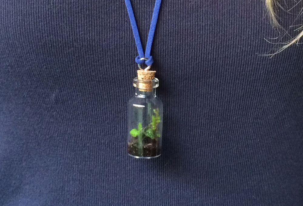 Crea il tuo ciondolo con un micro terrario