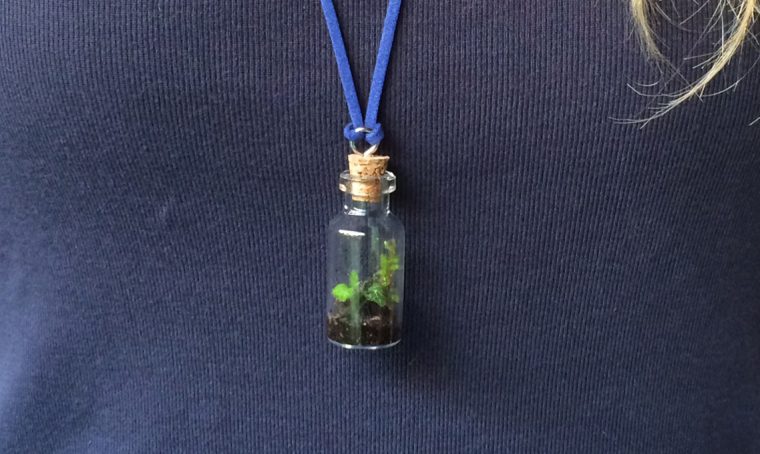 Crea il tuo ciondolo con un micro terrario