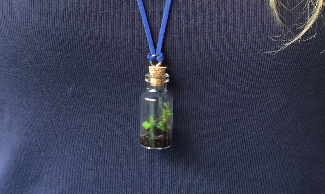 Mini giardino