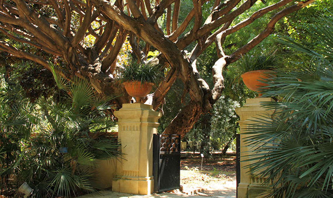 Orto Botanico di Palermo