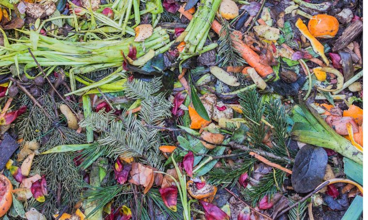Scegli il compost giusto a seconda del tuo terreno