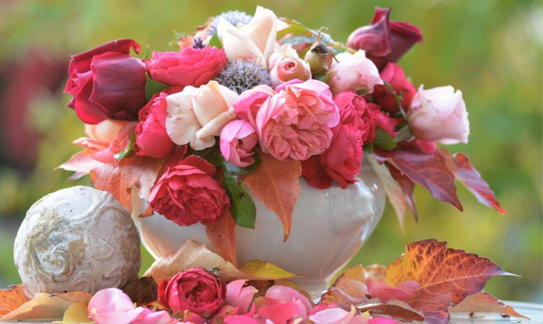 Come far durare le rose recise
