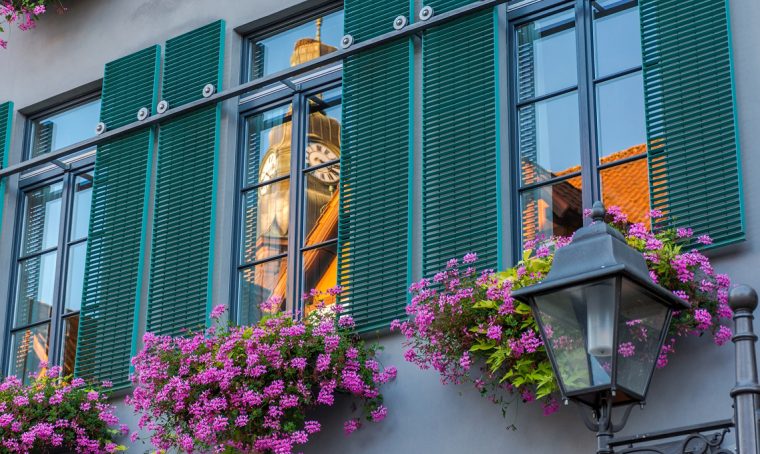 Le regole per evitare i litigi ‘verdi’ con i vicini di casa