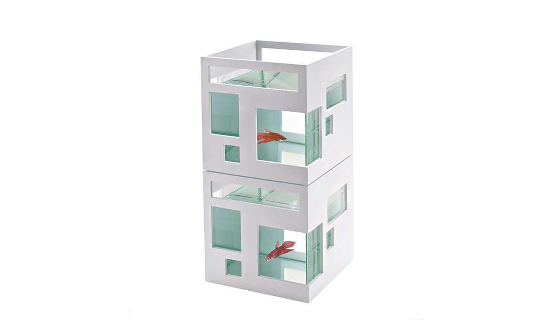 acquario