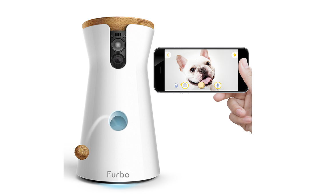 app per pappa cani