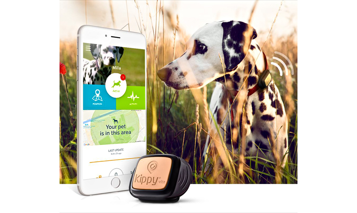 gps animali