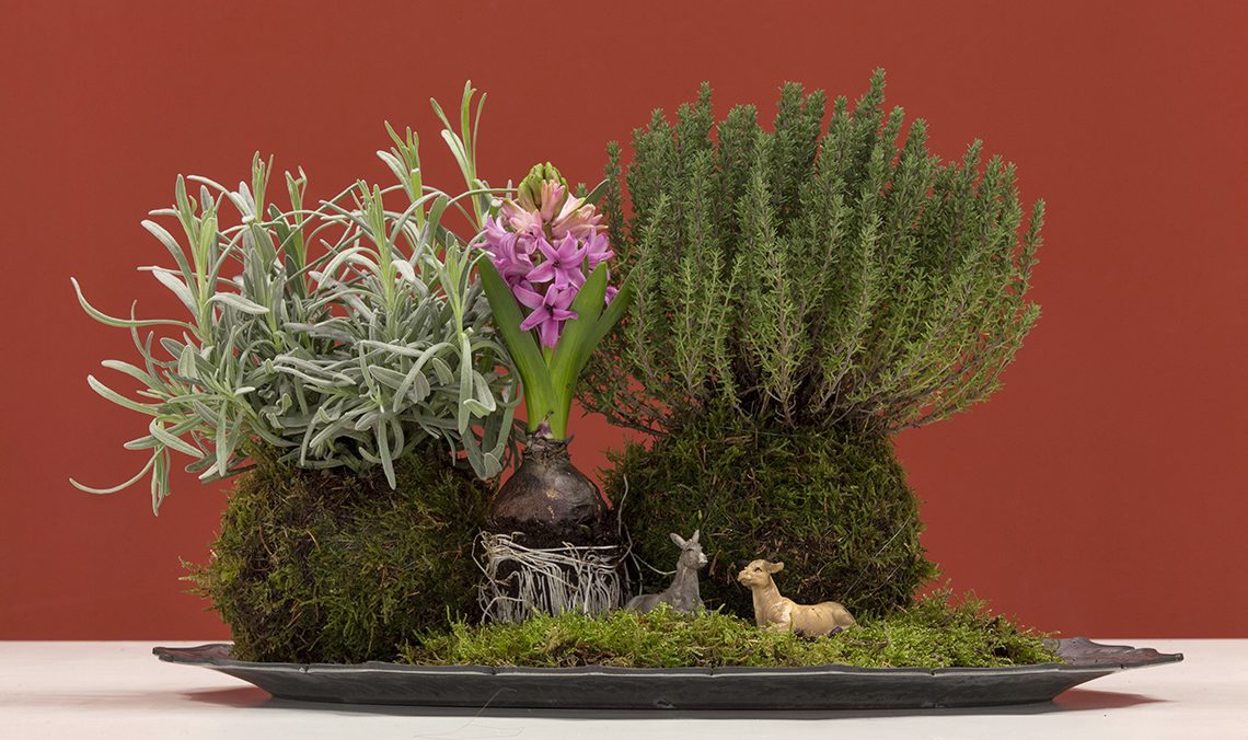 kokedama